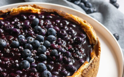 Blueberry Joghurt Cheesecake